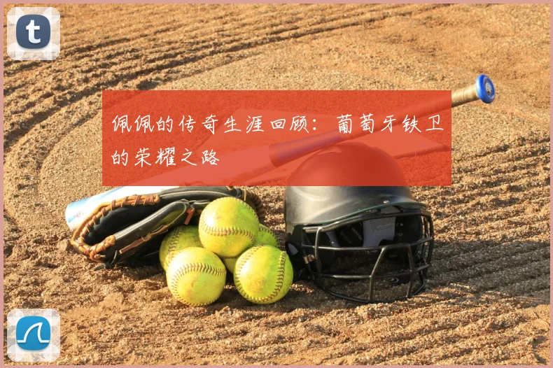 佩佩的传奇生涯回顾:葡萄牙铁卫的荣耀之路