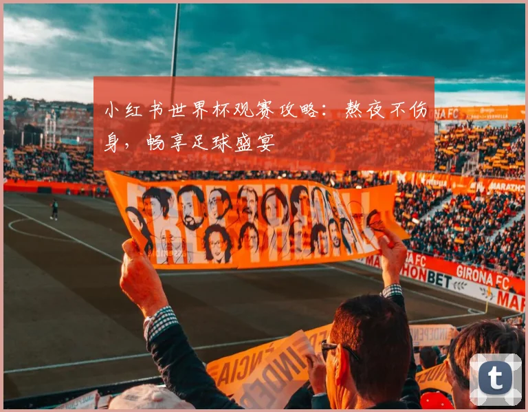 小红书世界杯观赛攻略:熬夜不伤身,畅享足球盛宴