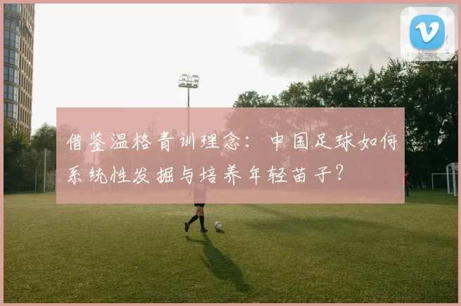 借鉴温格青训理念:中国足球如何系统性发掘与培养年轻苗子?