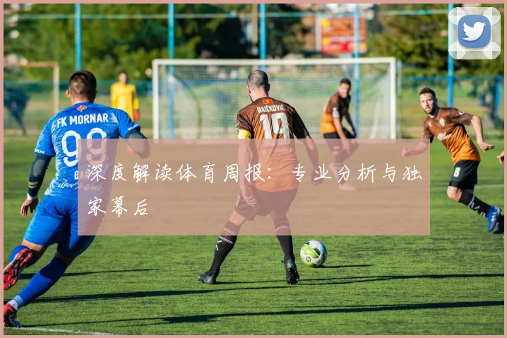 深度解读体育周报：专业分析与独家幕后