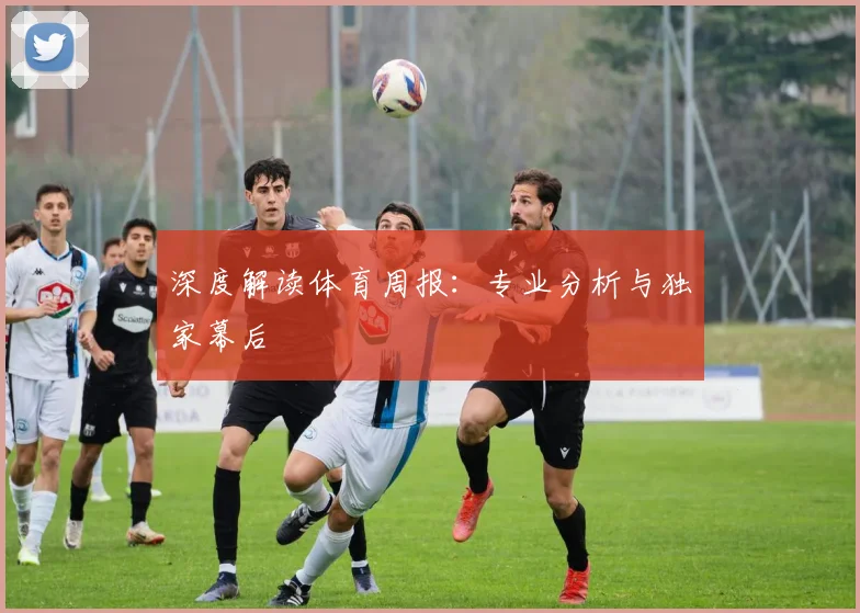 深度解读体育周报：专业分析与独家幕后
